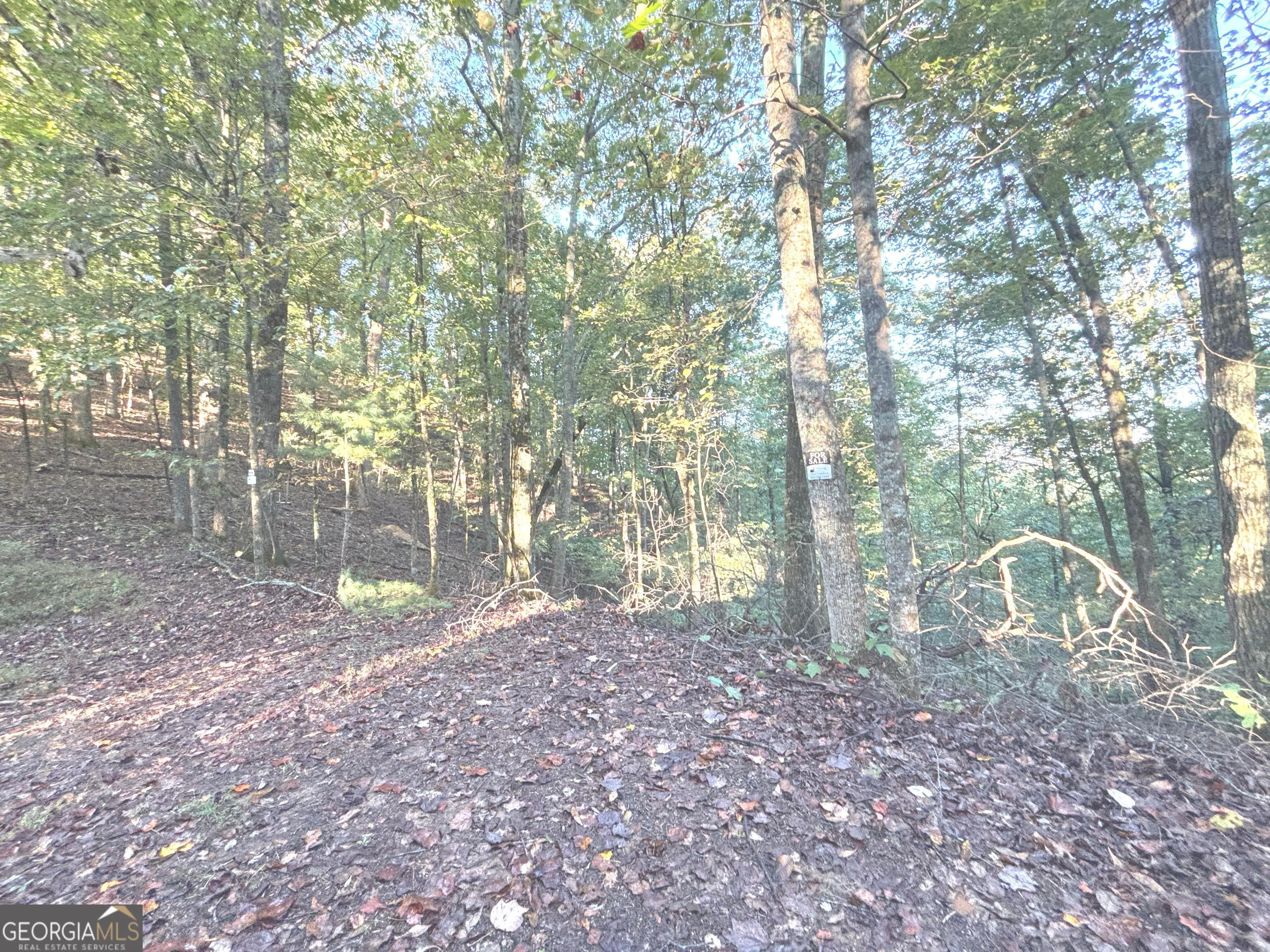 122 Adair Drive