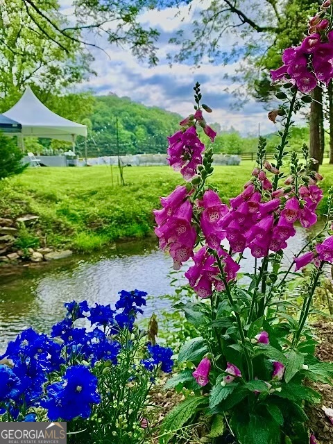 1156 Old Talking Rock HWY