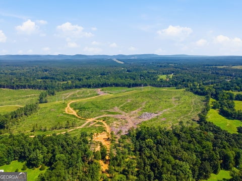 Photo of 0 Blacks Bluff Road, Cave Spring, GA 30124 (MLS # 10827581)