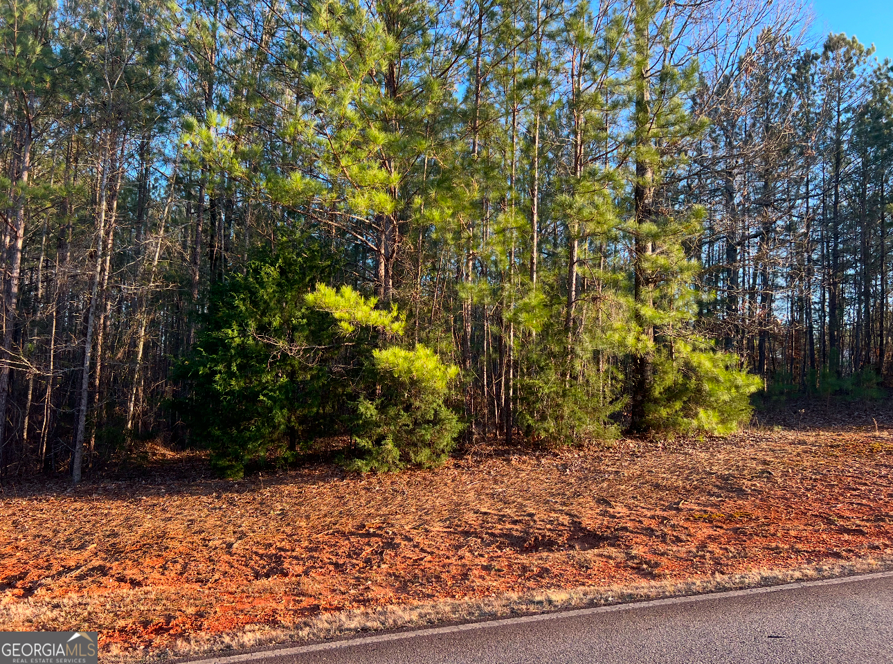 River Forest building lot. 1.27 Acres. Private lot. Conveniently located near the front entrance. River Forest is a gated community, offering a championship golf course, full service clubhouse, parks, walking trails, fitness, swim and tennis facilities.