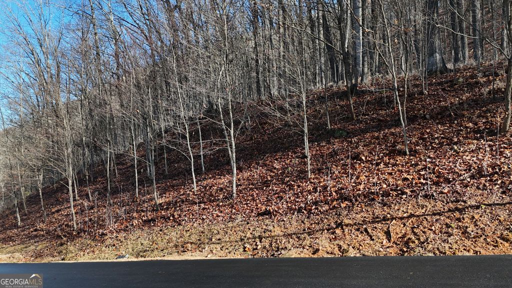 Photo of 45 Mountainside Drive, Cleveland, GA 30528 (MLS # 10769717)