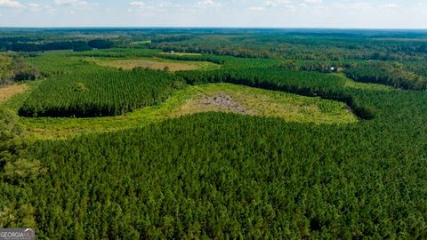 Photo of 0 Hudson Ferry Rd. & Newington Highway, Newington, GA 30446 (MLS # 10621652) Photo of 0 Hudson Ferry Rd. & Newington Highway, Newington, GA 30446 (MLS # 10621652)