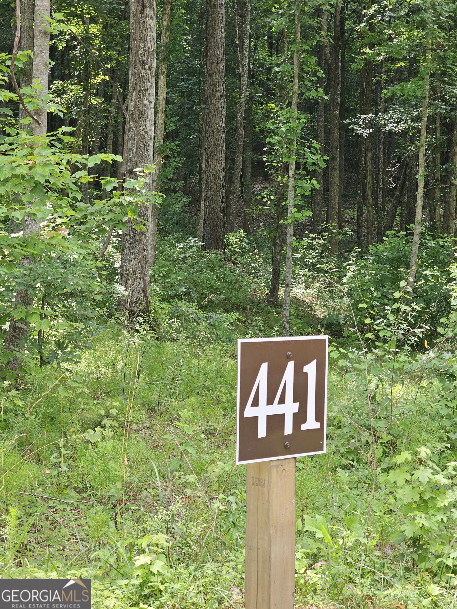 Hunting for your slice of the North Georgia Mountains? Here's an opportunity to get into a premier mountain community ... 1.51 beautifully wooded acres in the Vineyard at Yukon. If you're looking for an escape from the hustle and bustle of city life, this community offers the perfect blend of seclusion and access. You're just far enough from Ellijay and Talking Rock to feel completely surrounded by nature, but not so far that you're disconnected from necessary services or amenities. The lot itself has approximately 140 of paved road frontage, and is situated such that your trip home (from Ellijay, or any of the 3 wineries nearby) offers a slow drive through beautiful surroundings. It sits in a very quiet area, and the peace is palpable. The Vineyard at Yukon is a very large, gated community, with new homes going up throughout. It's proximity to Chateau Meichtry is a huge draw (and convenience). Close by but not quite next door are Ott's Vineyard and Winery and Buckley's Vineyards, and just a bit farther is Reece's Cidery. All these venues are extremely popular with the locals, and it's all back roads home. Ellijay and Talking Rock are known for their breathtaking landscapes, and living in The Vineyard at Yukon means you'll wake up to lush forests and rolling hills, with sweeping mountain views here and there throughout the community. The area is particularly renowned for its vibrant fall foliage and peaceful, outdoor lifestyle. Whether you're into hiking, mountain biking, kayaking, canoeing, tubing, cruising the community in your golf cart, or simply enjoying a quiet afternoon in your backyard, nature will be your constant companion. In today's vernacular, both Ellijay and Talking Rock are a "vibe", and this is a great opportunity to become a part of it.