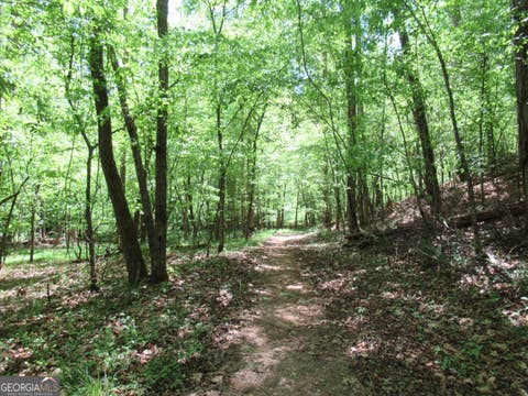 Photo of 0 Chestatee Drive, Dahlonega, GA 30533 (MLS # 10820639)