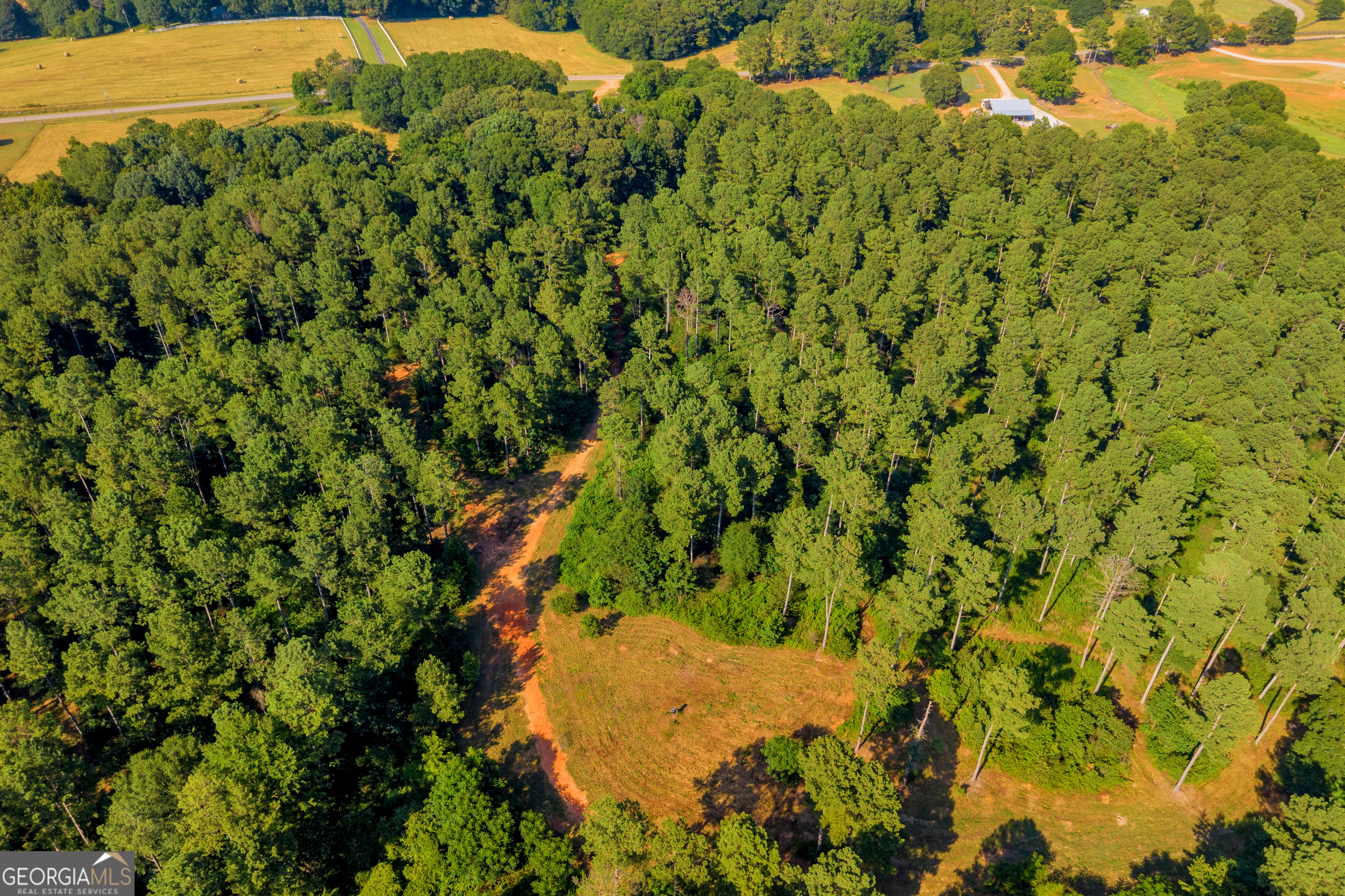 Martin, Georgia 30557, United States, ,Land,Active,170456