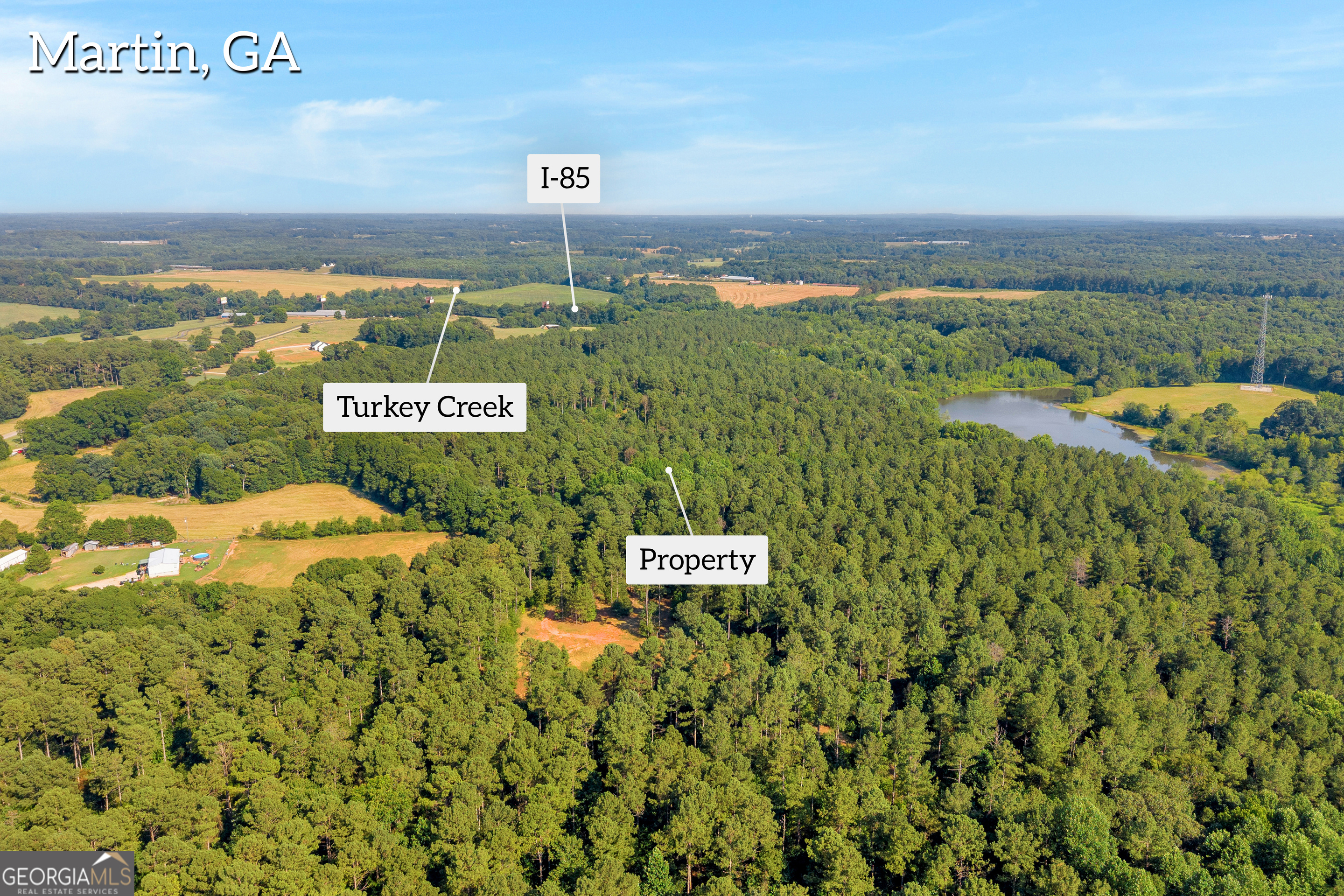 Martin, Georgia 30557, United States, ,Land,Active,170456