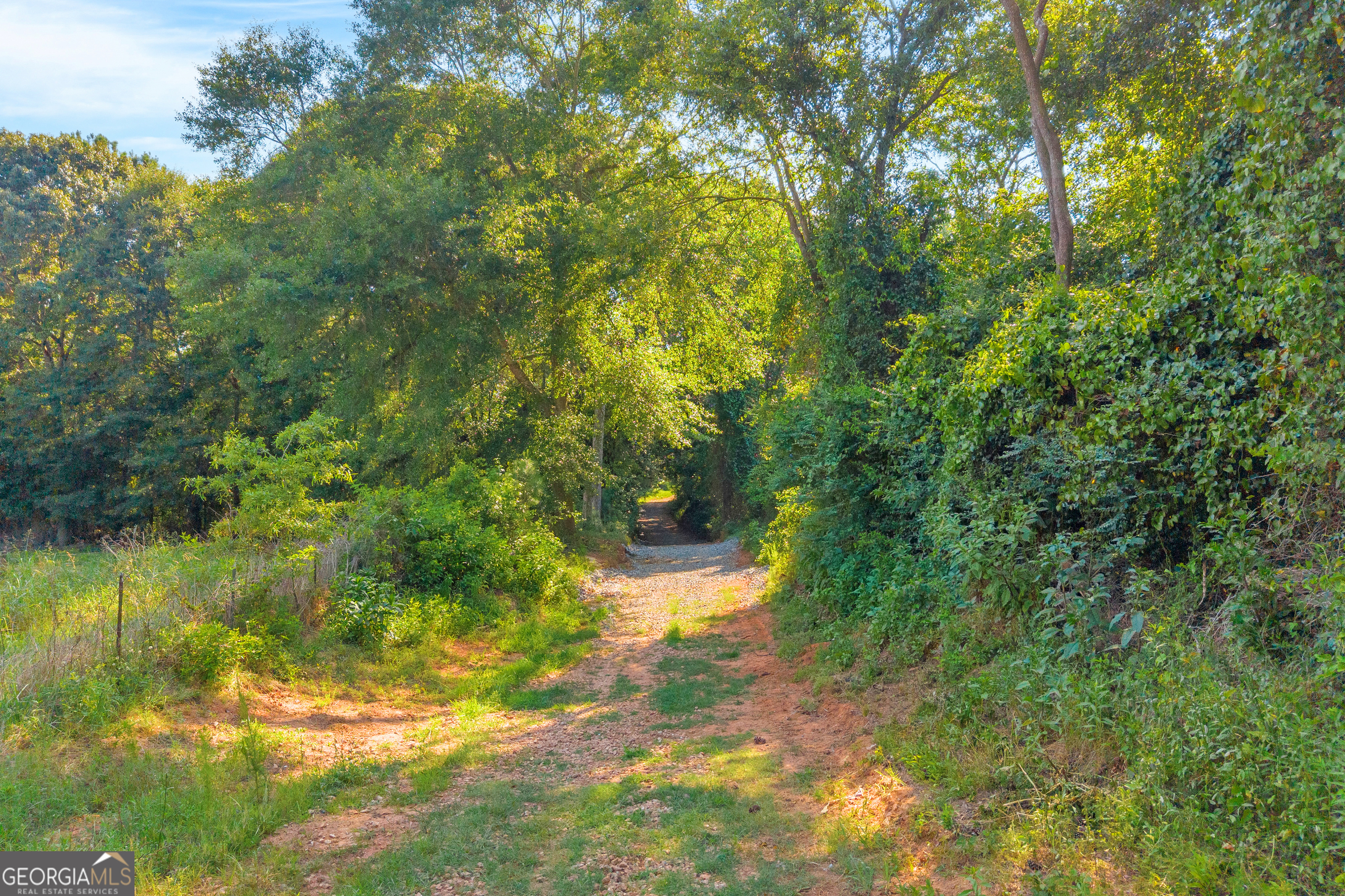 Martin, Georgia 30557, United States, ,Land,Active,170456