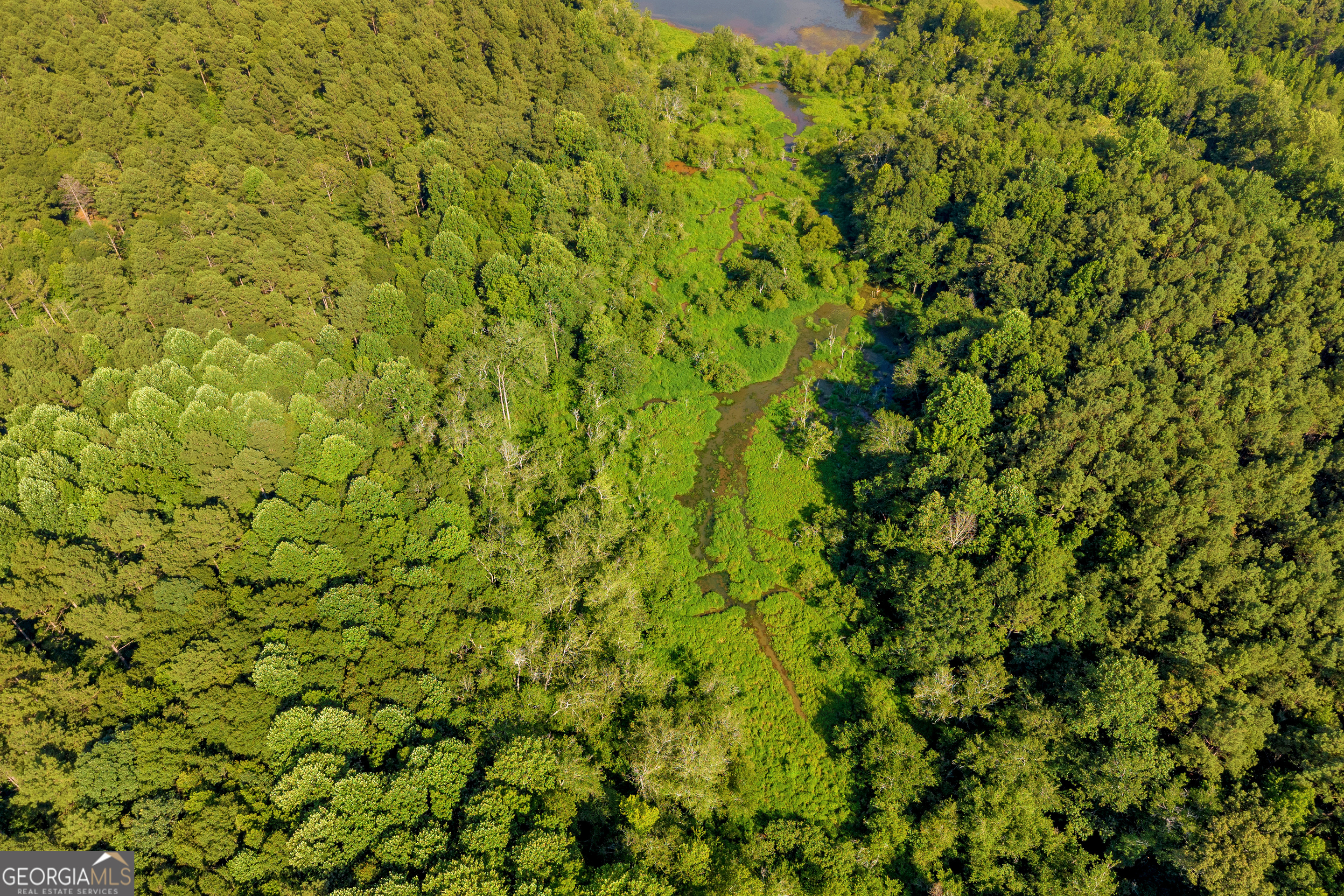 Martin, Georgia 30557, United States, ,Land,Active,170456