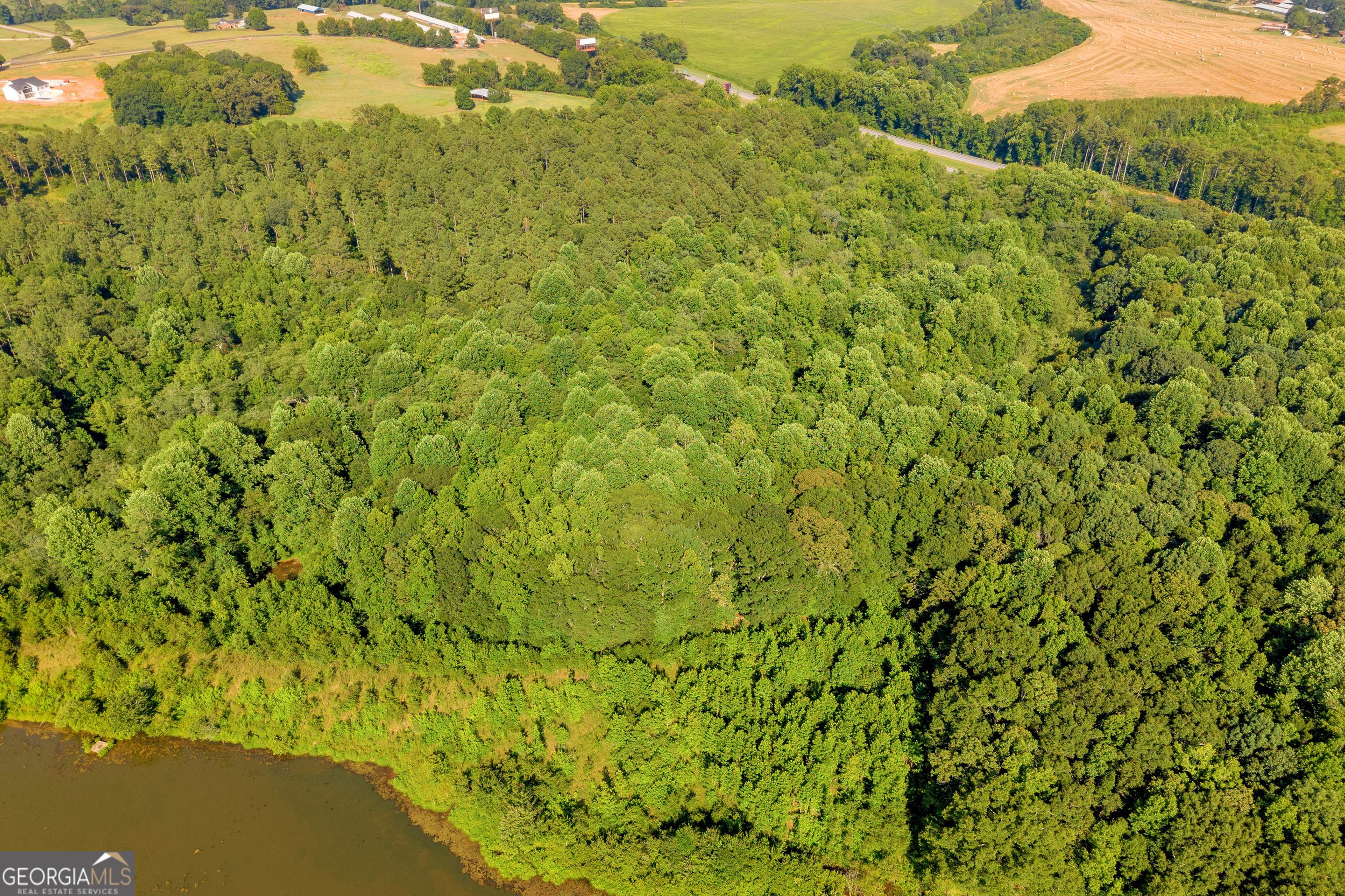 Martin, Georgia 30557, United States, ,Land,Active,170456