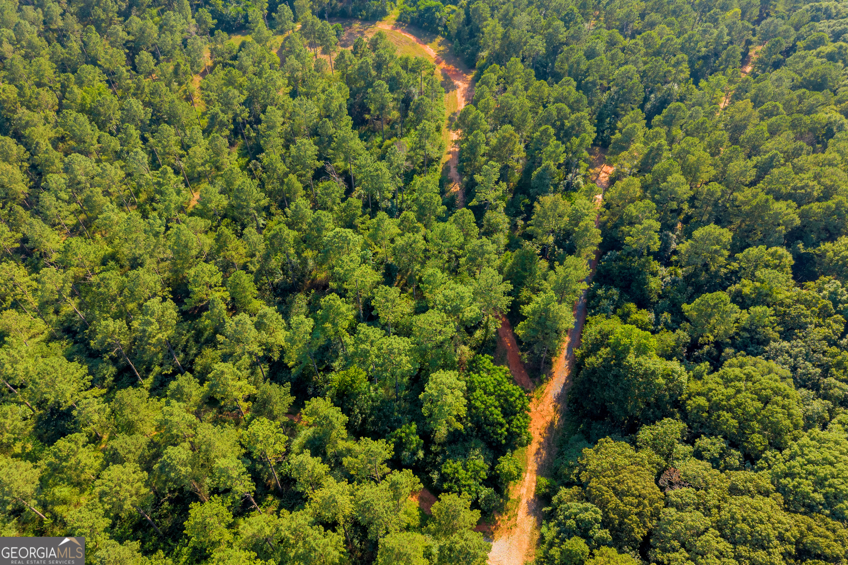 Martin, Georgia 30557, United States, ,Land,Active,170456