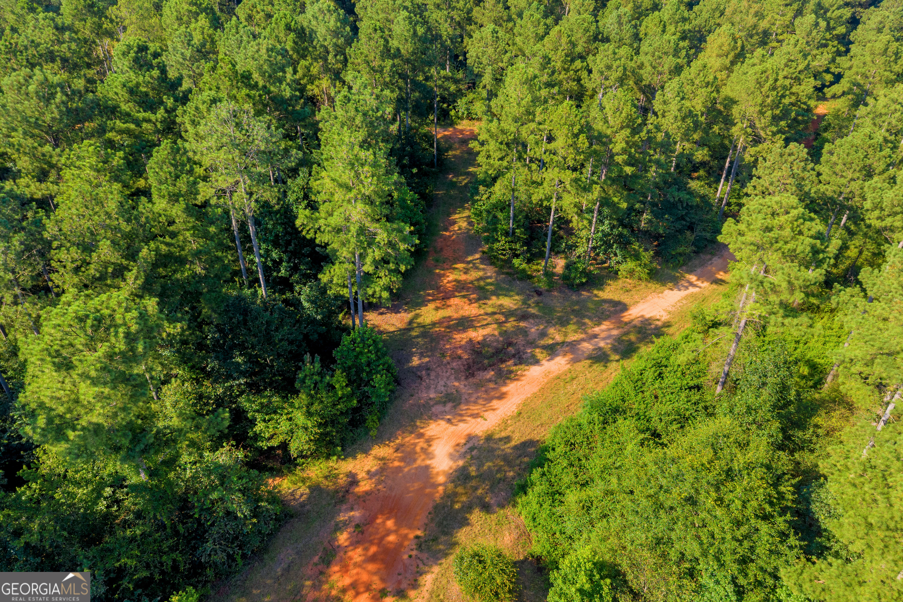 Martin, Georgia 30557, United States, ,Land,Active,170456