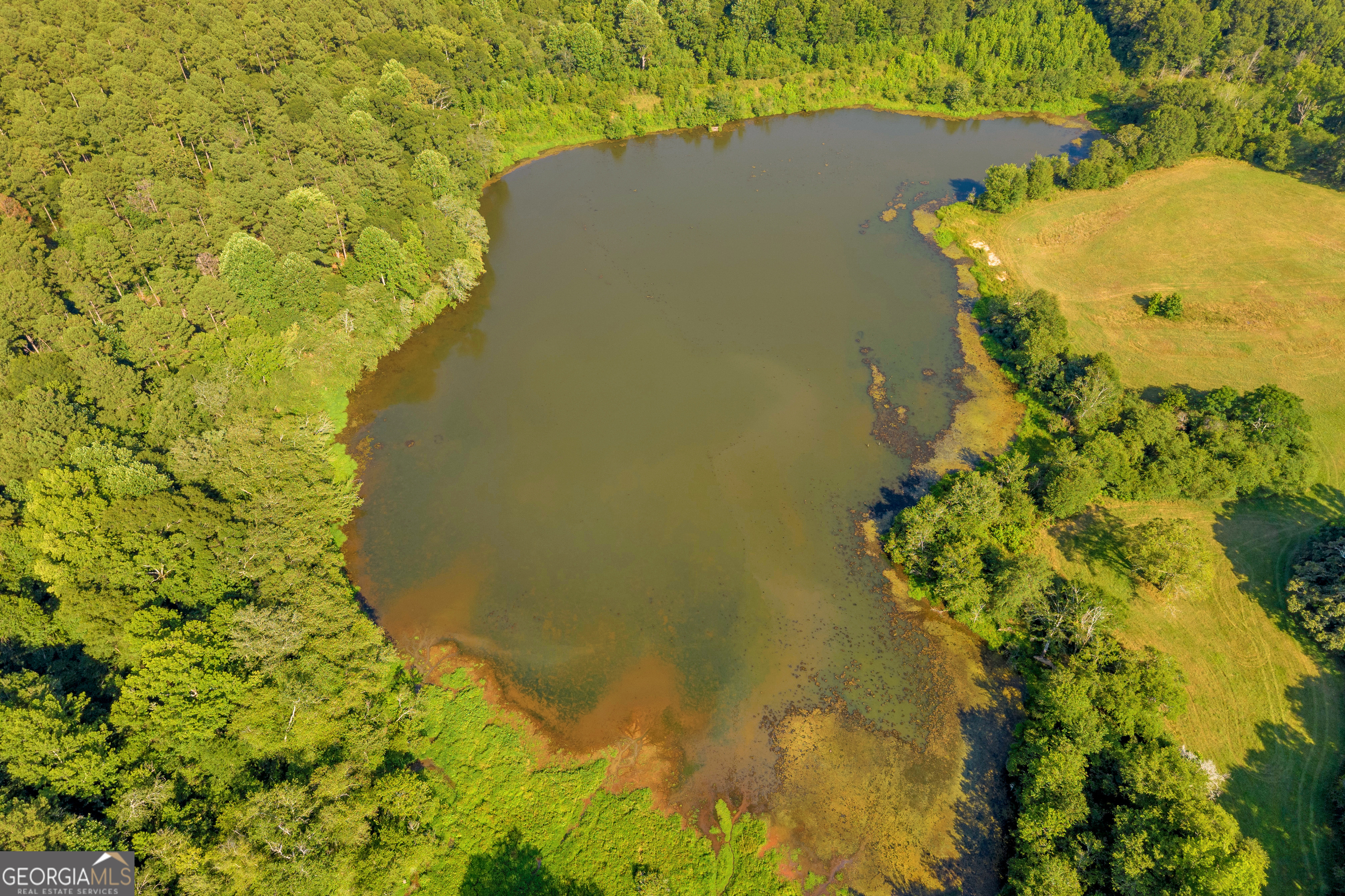 Martin, Georgia 30557, United States, ,Land,Active,170456