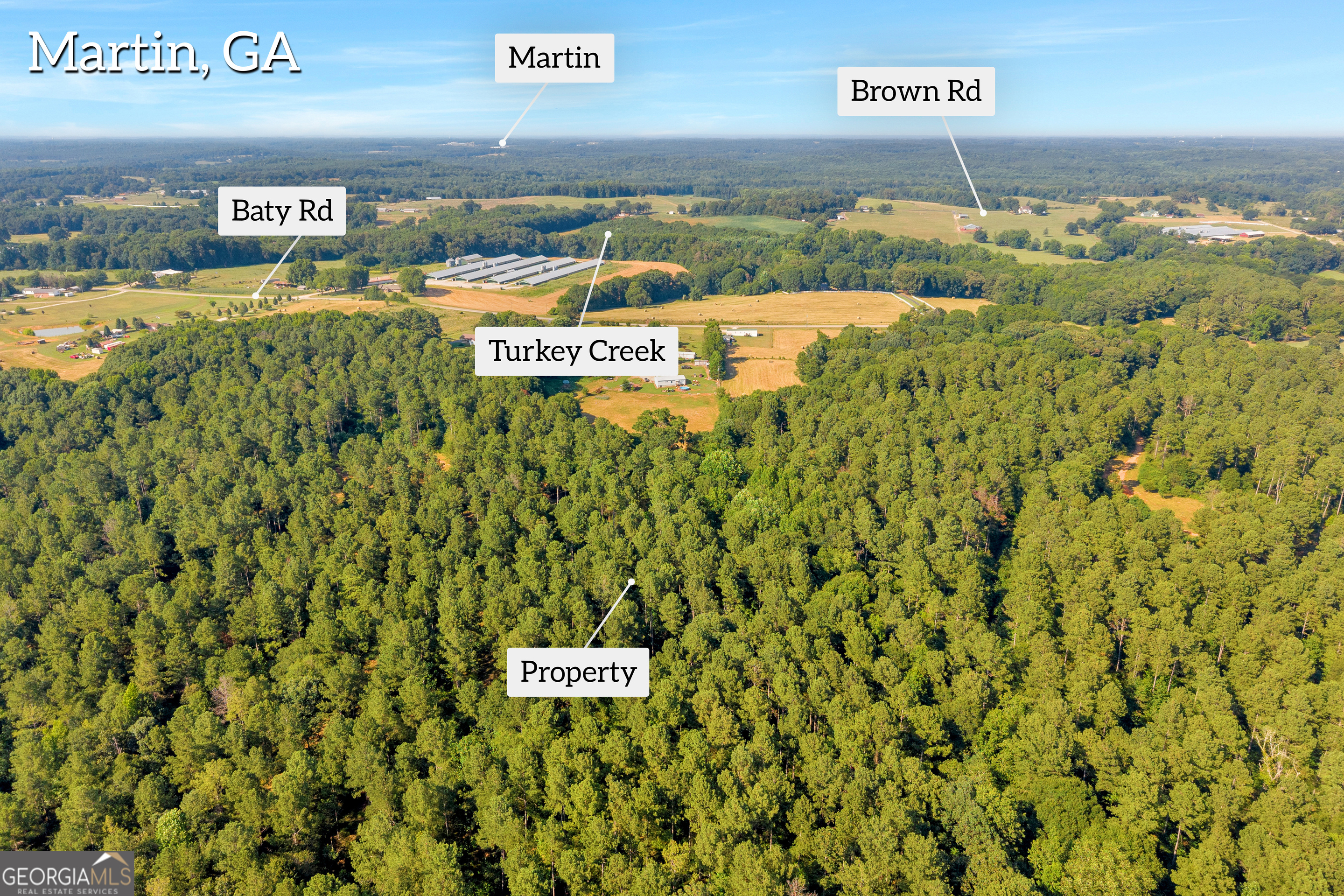 Martin, Georgia 30557, United States, ,Land,Active,170456