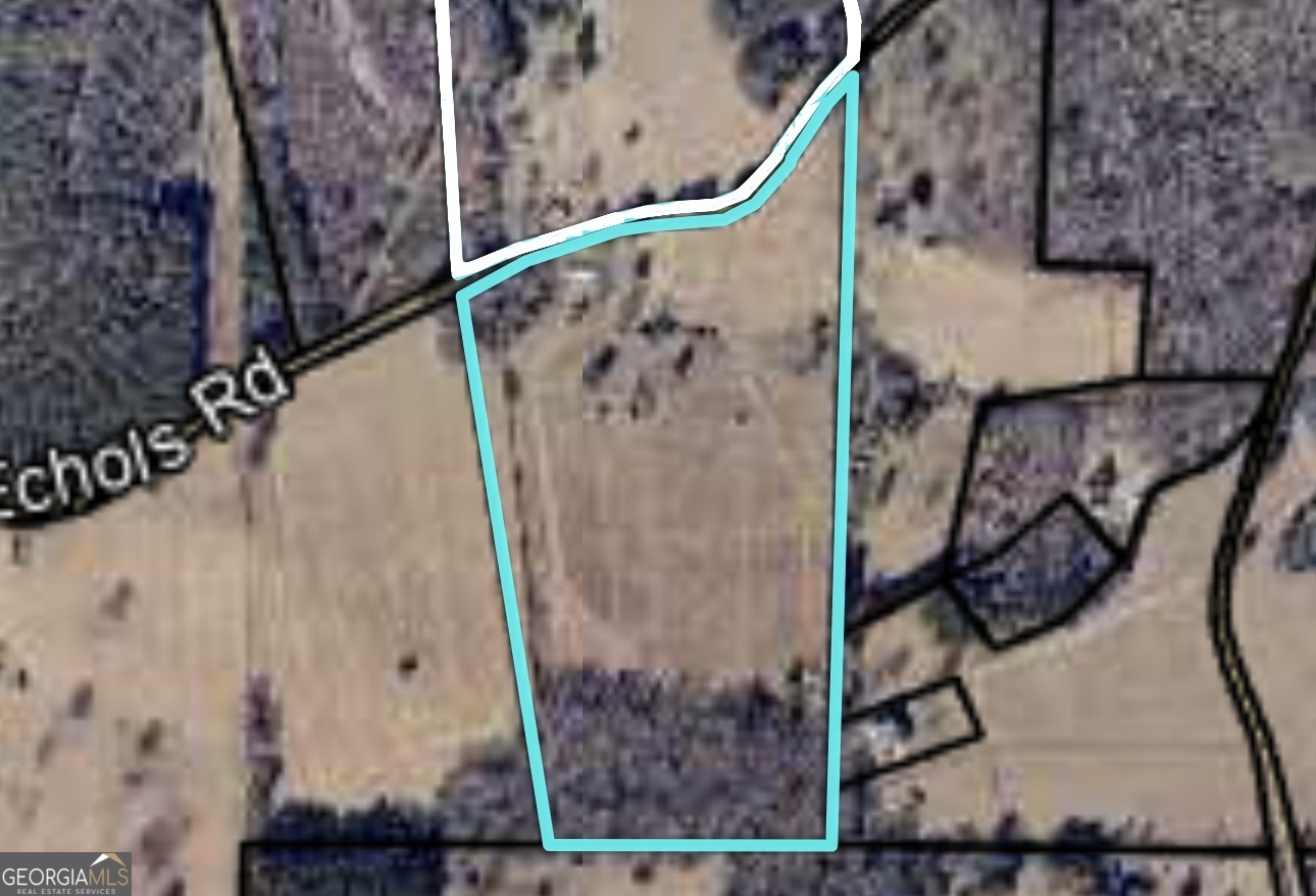 Discover the potential of 00 Echols Rd - a beautiful 23-acre property offering open pastureland and endless possibilities for building your dream home or creating a private retreat. This serene parcel is being split from a larger tract and provides ample space for horses, farming, or recreational use. With a peaceful rural setting and convenient access to nearby amenities, it's the perfect blend of tranquility and opportunity. No restrictions. Don't miss your chance to own a piece of the countryside!