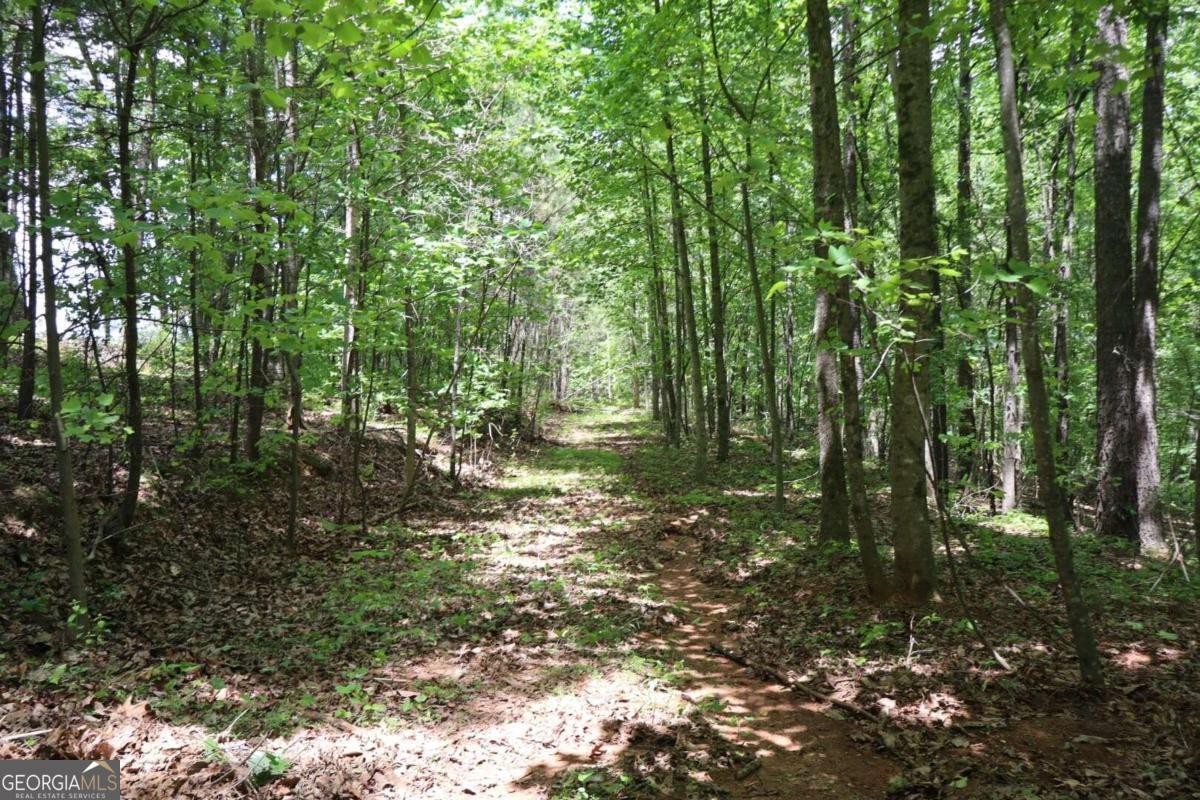 Escape to the mountains! If you love hunting, hiking, camping, and everything country living brings you, then this is for you. Total privacy on 27.87 of unrestricted land, bring in your builder and start building! . Lots of opportunities, whether it be a family compound, or building your one dream home, the possibilities are endless! You're only a few minutes away from Carters Lake Marina where you can fish, hike, camp, boat, kayak, etc. Close to local wineries, and Riverfront breweries that are scattered throughout all of our beautiful North Ga Mountains. Buy this by itself or buy this and the adjoining parcel 3056 029 fmls #7386299