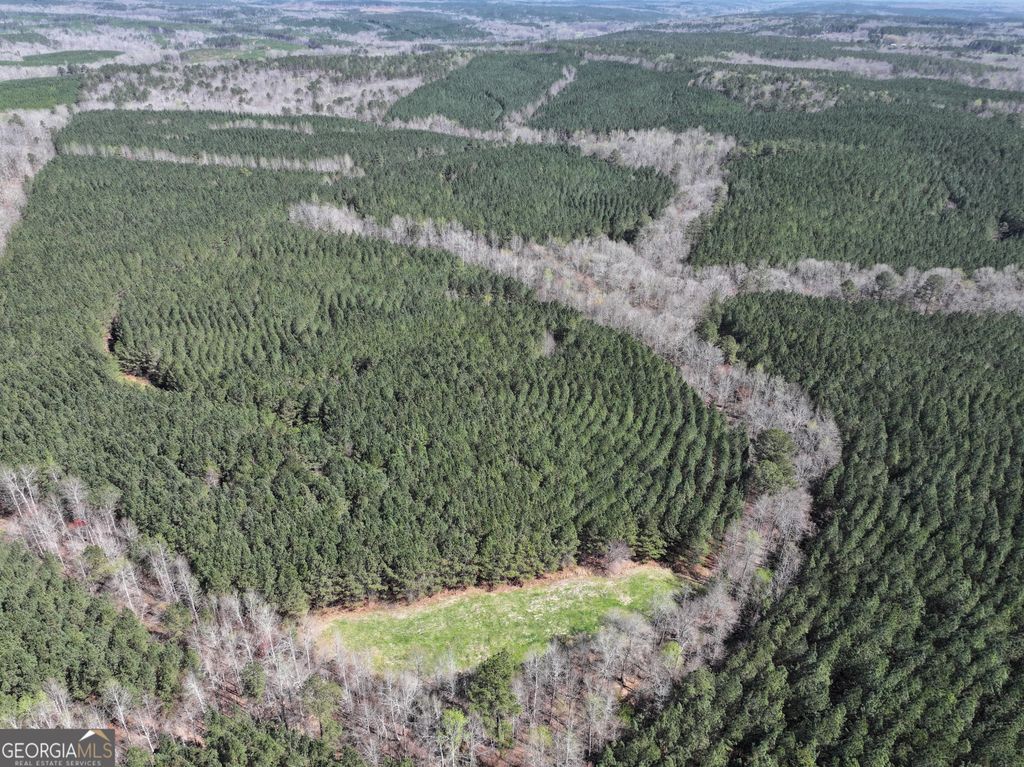 Photo of 257 +/- Acres on Ridgeway Road, Franklin, GA 30217 (MLS # 10769076)