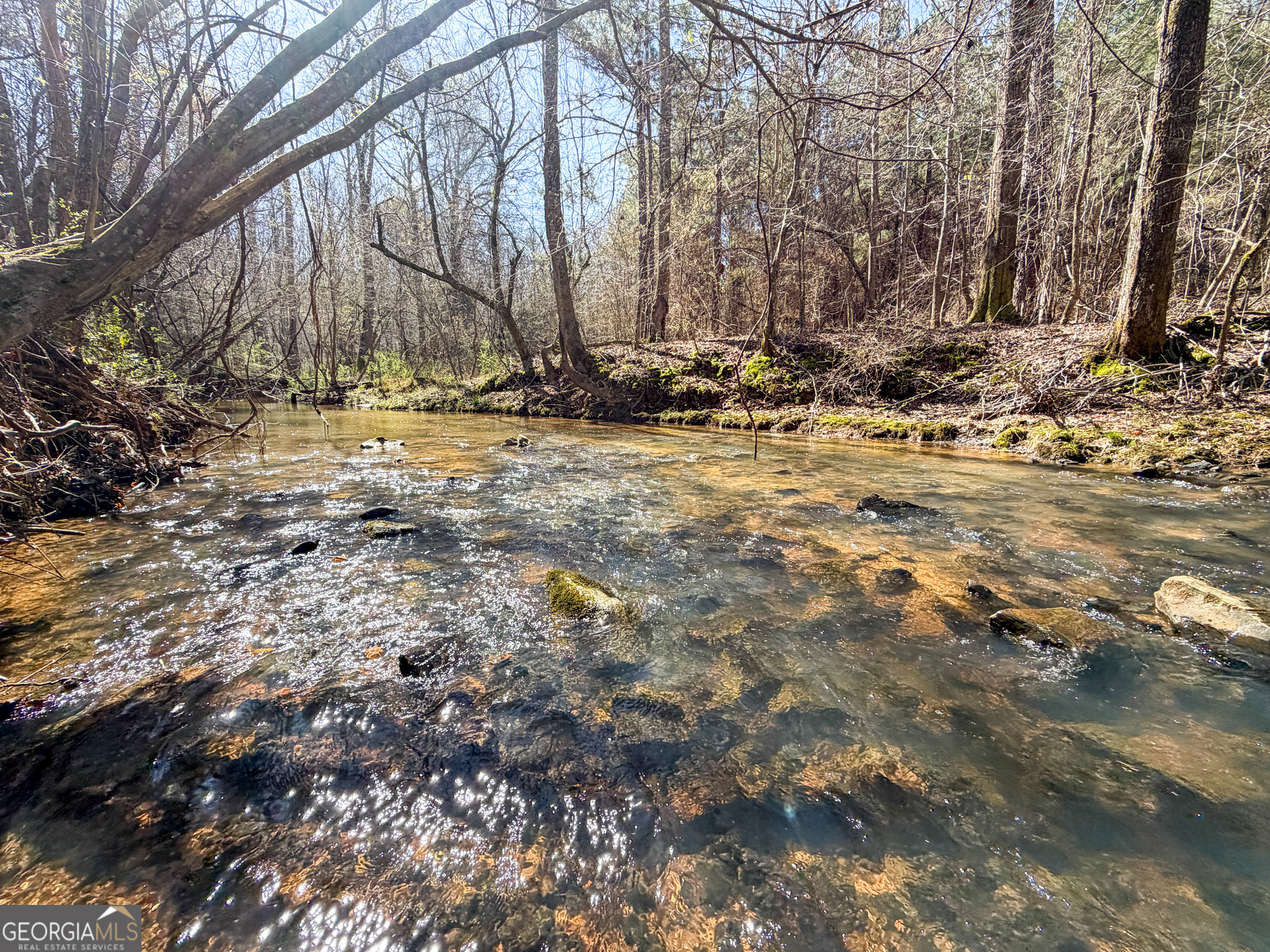 257 +/- Acres on Ridgeway Road