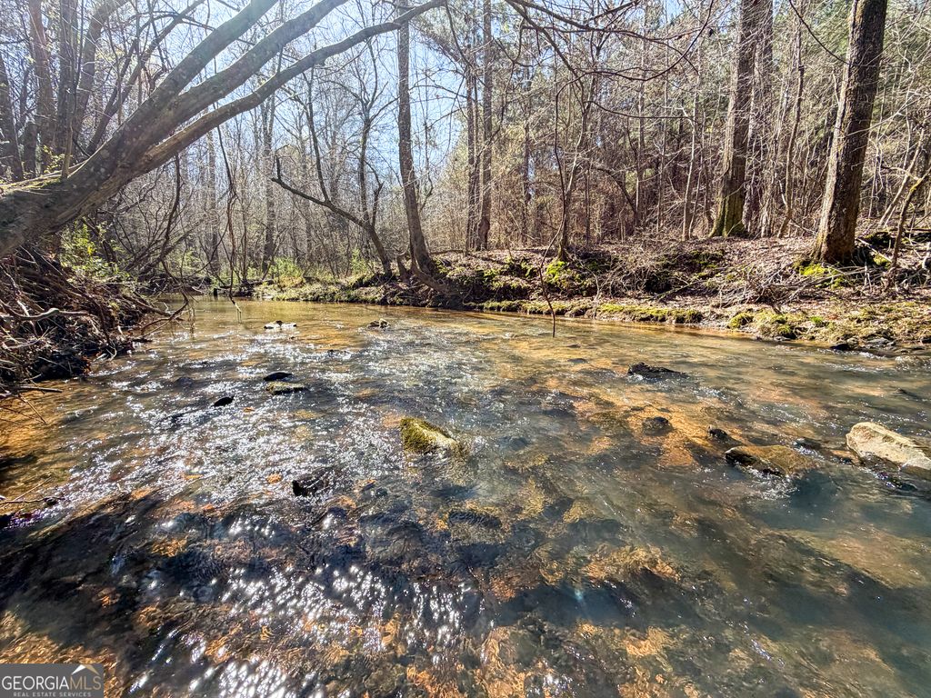 Photo of 257 +/- Acres on Ridgeway Road, Franklin, GA 30217 (MLS # 10769076)