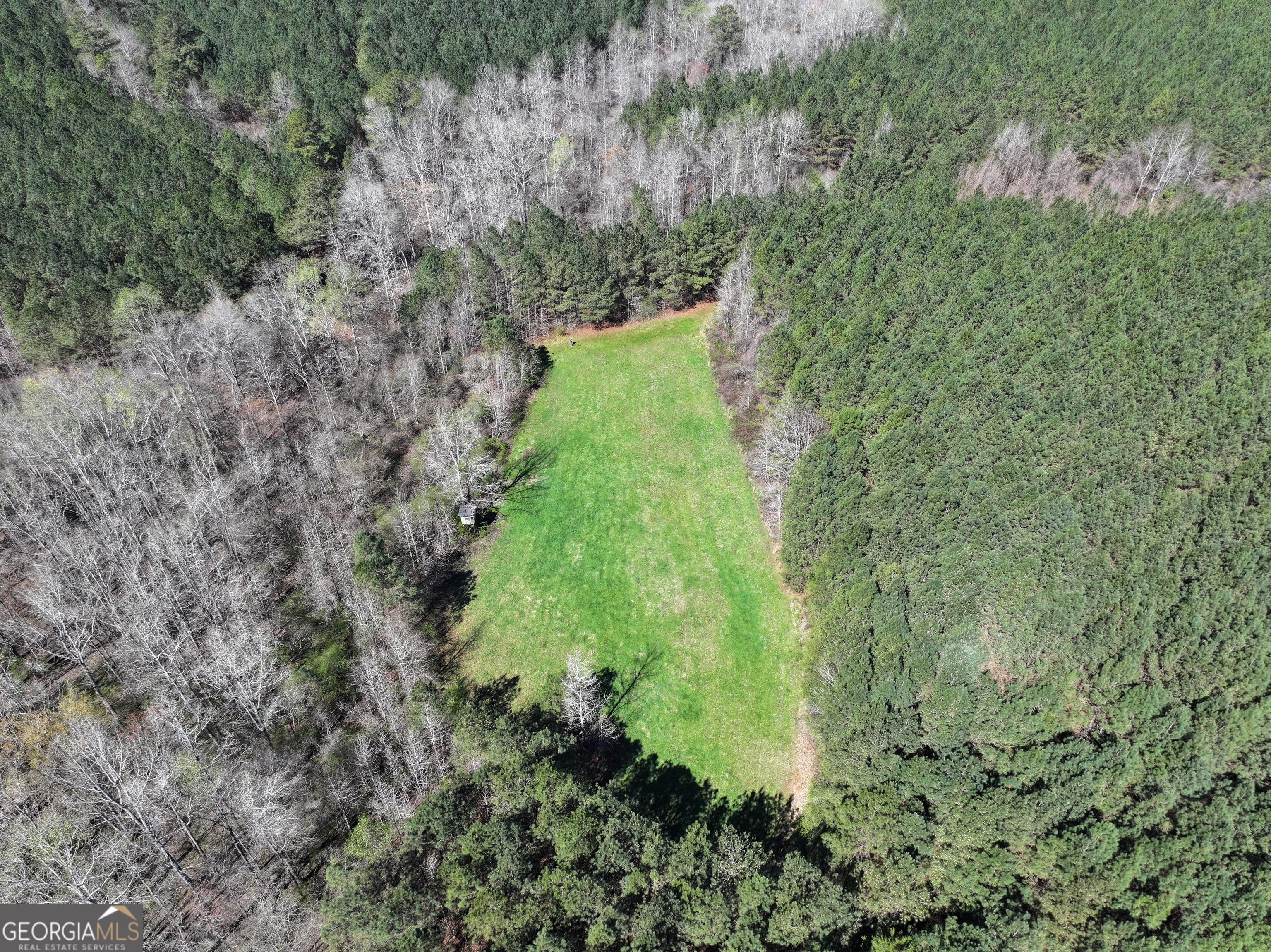 257 +/- Acres on Ridgeway Road