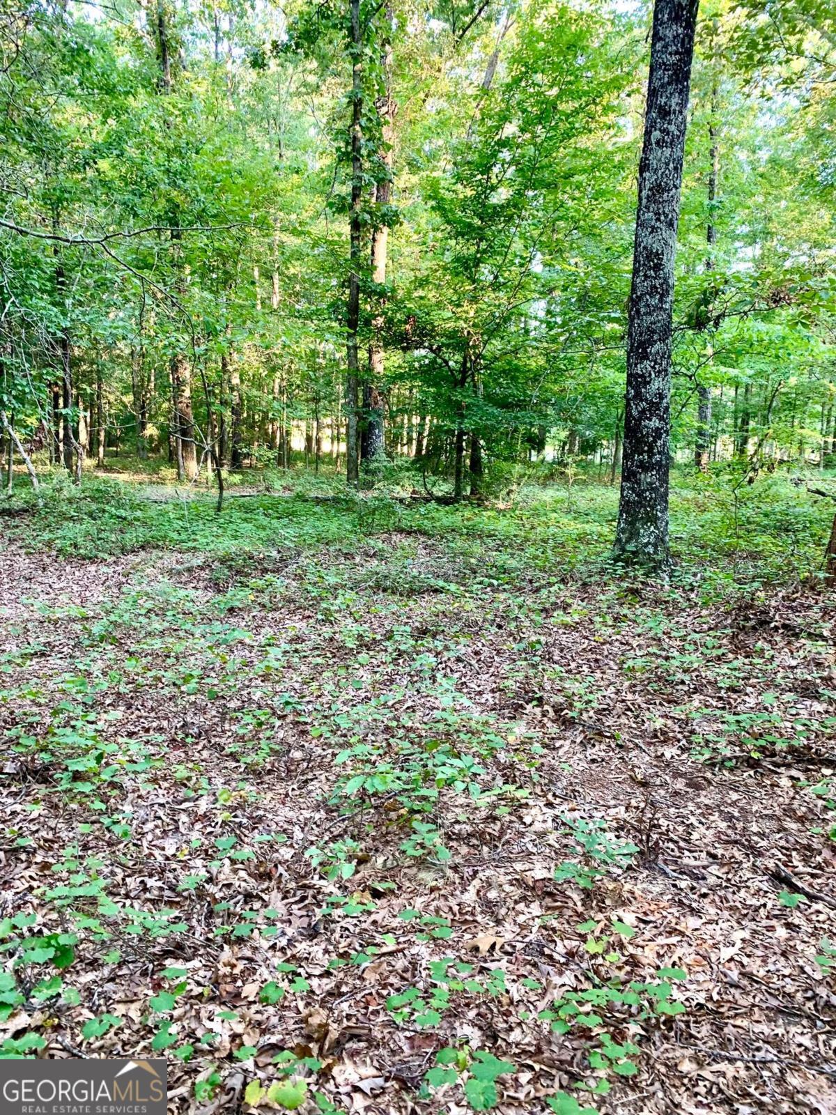 0 Archer Grove School RD TRACT B