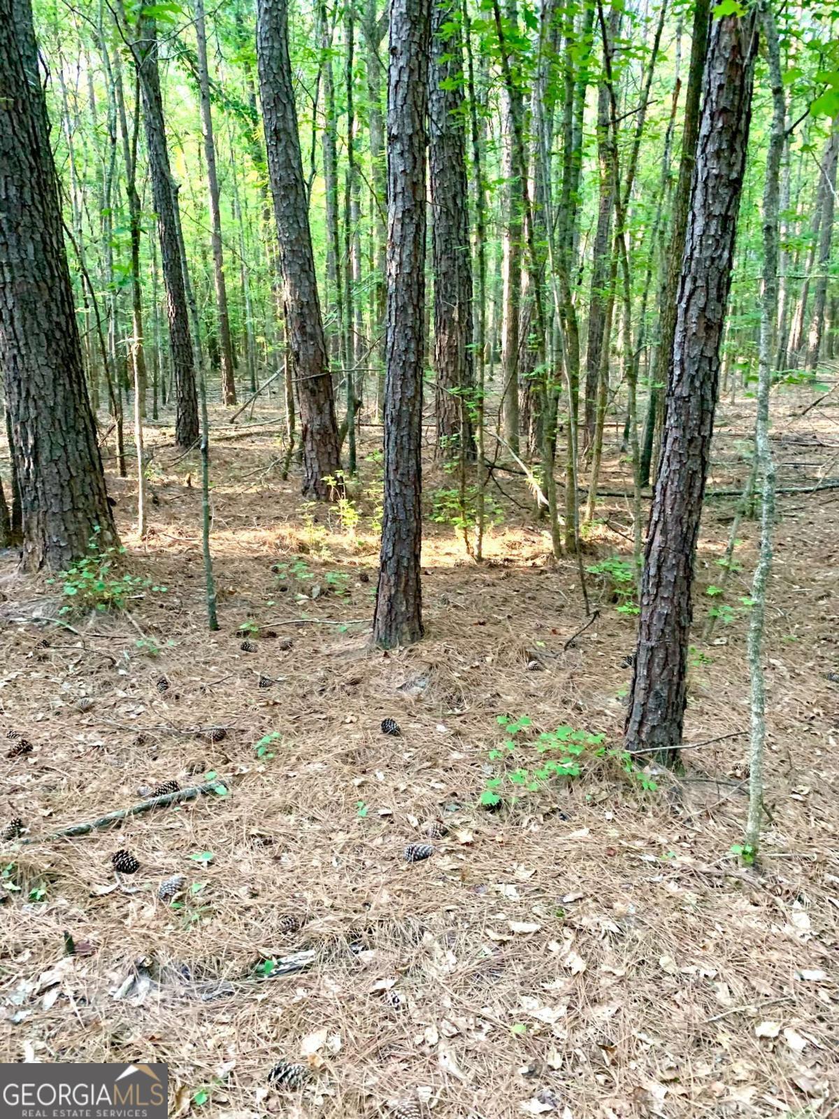 0 Archer Grove School RD TRACT B