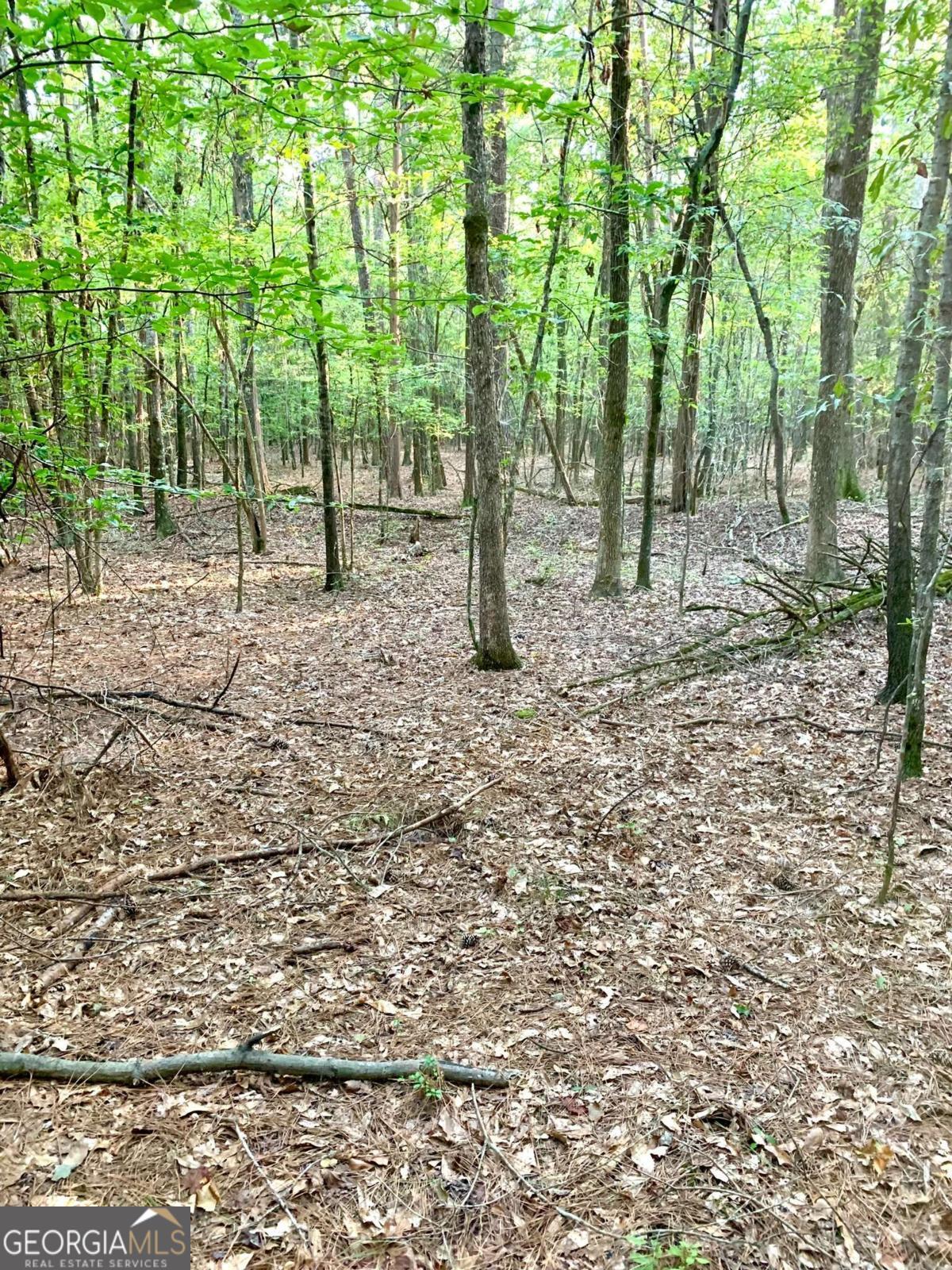 0 Archer Grove School RD TRACT B