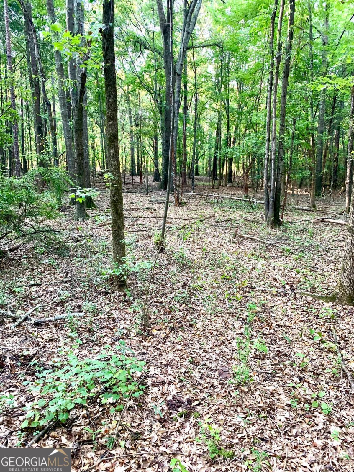 Spacious 10-Acre Residential Tract Jackson County, GA. Dont miss this rare opportunity to own a beautiful, level 10-acre tract in highly sought-after Jackson County. Zoned agricultural and perfectly suited for a future residential homesite, this property offers the peace and privacy of rural living with the convenience of city amenities just minutes away. Enjoy ample paved road frontage and easy access to downtown Athens, with shopping, restaurants, and hospitals all nearby. Whether youre looking to build your dream home, start a mini-farm, or invest in a property with endless potential, this tract offers a solid foundation and a prime location. With its layout, level terrain, and proximity to key amenities, this one wont last long! Taxes have not been assessed on this lot yet.