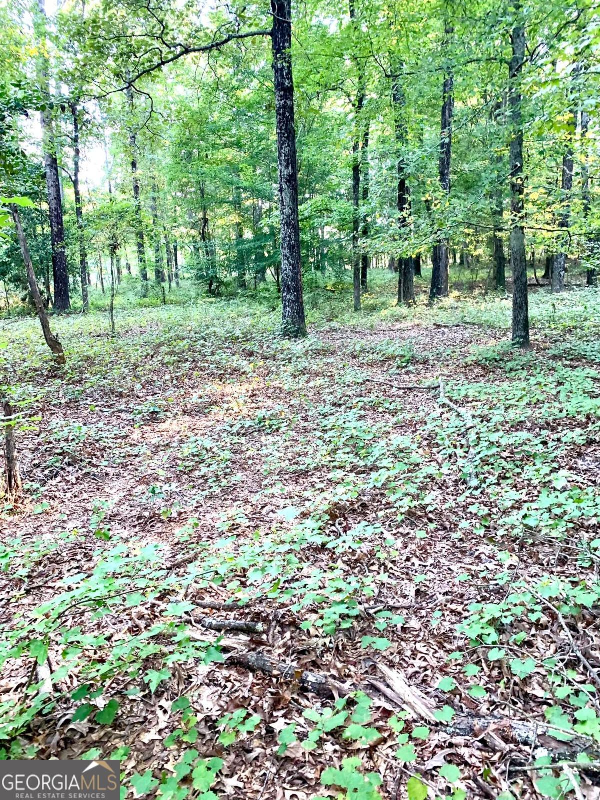 0 Archer Grove School RD TRACT B