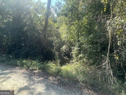 Photo of 0 Millen Road #TRACT 21, Monticello, GA 31064 (MLS # 10848950)