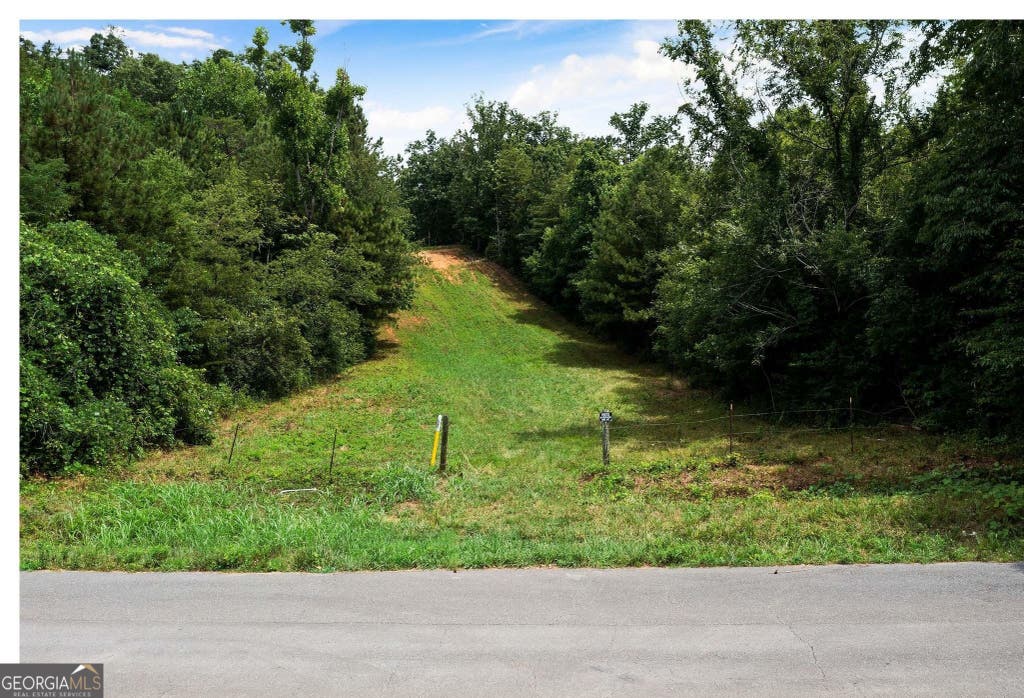 Photo of 0 Hanes, Oakman, GA 30732 (MLS # 10814528)