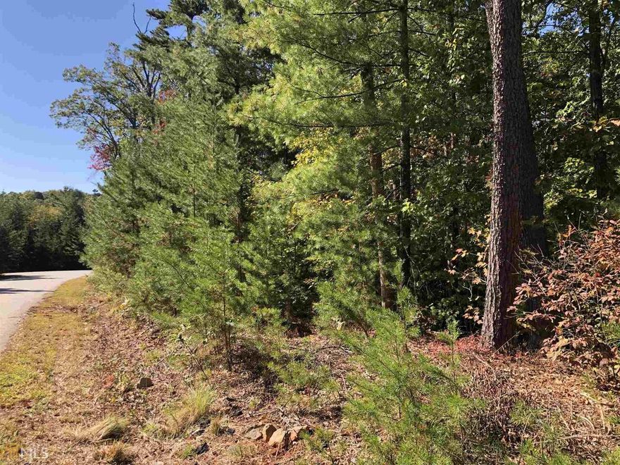 Seller of lot is also a builder (Red Oak Fine Homes) and would love to discuss building your dream home AT COST WITH NO BUILDER FEE! Grand corner lot has a gentle slope with plentiful hardwoods. Come home to Big Canoe and leave your worries at the gate. This community offers so many amenities: Golf, Lake, Clubhouse with full service restaurant, Stunning trails to secret waterfalls and more! This lot is in the distinguished Wildcat section which includes their own private pool, tennis, and basketball court area.