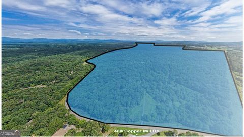 Photo of 0 Copper Mines Road, Dahlonega, GA 30533 (MLS # 10730795)