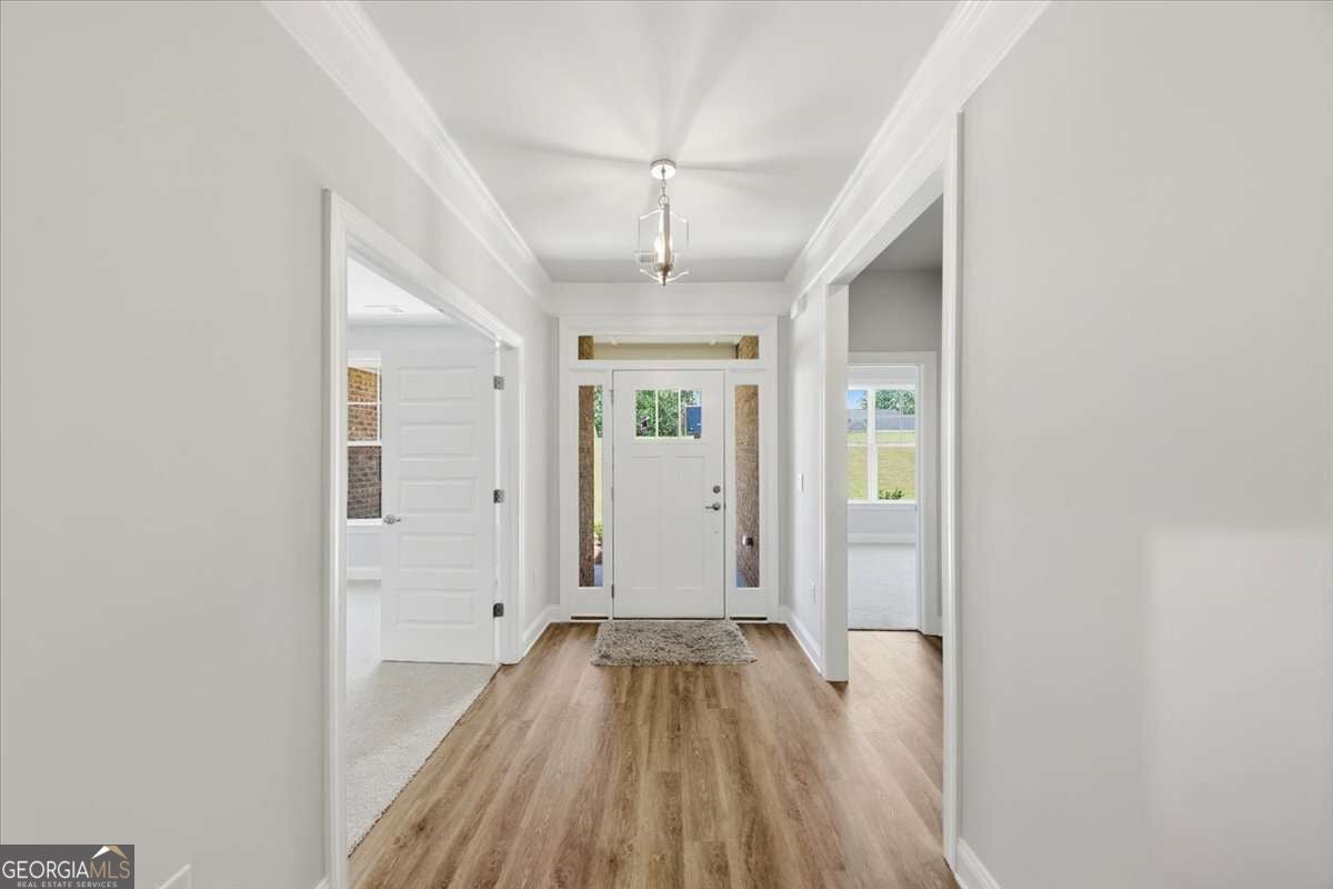 3305 Trevi TRL