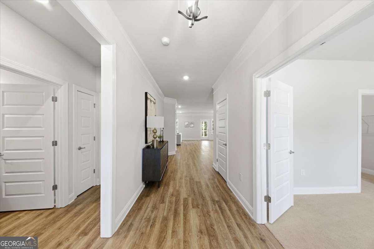 3305 Trevi TRL