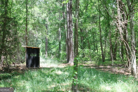 Photo of 2239 Brady Road, De Soto, GA 31743 (MLS # 10805362)