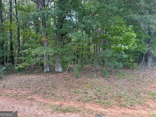 TEASLEY TRL, MORELAND, GA 30259 - Image 59ec491eae1c2eb923cd92b447c4497d/2017662991