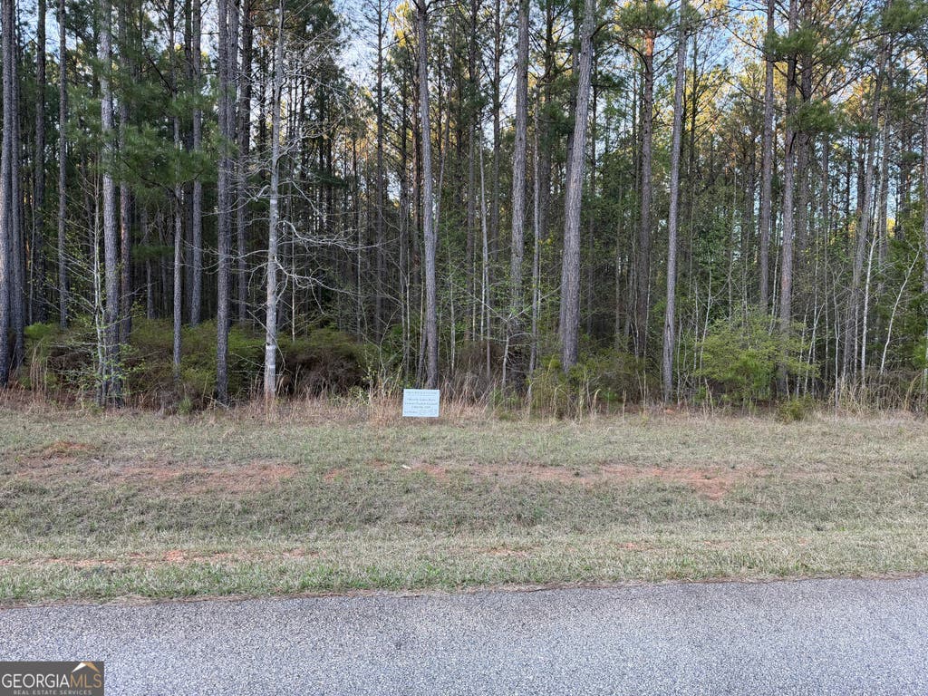 Photo of 00 Mariners Way, Lincolnton, GA 30817 (MLS # 10812629)