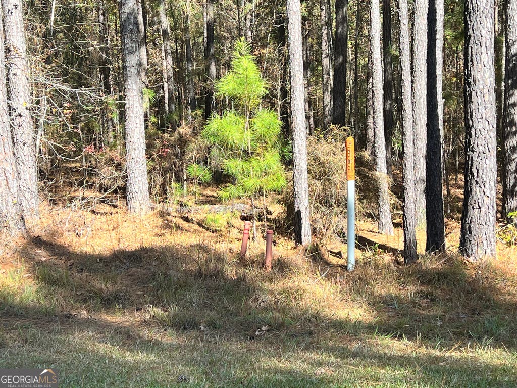 Photo of 00 Mariners Way, Lincolnton, GA 30817 (MLS # 10812629)