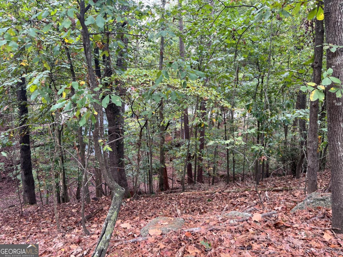 0 SPYGLASS BLUFF DR