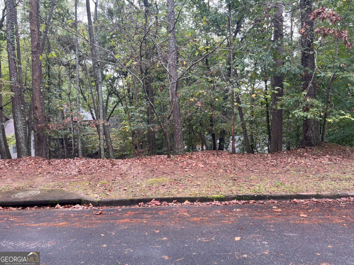 0 SPYGLASS BLUFF DR