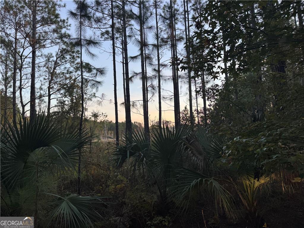 LOT 357 Wood Stork WAY