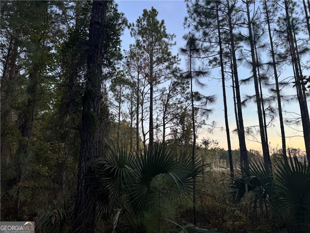 LOT 357 Wood Stork WAY