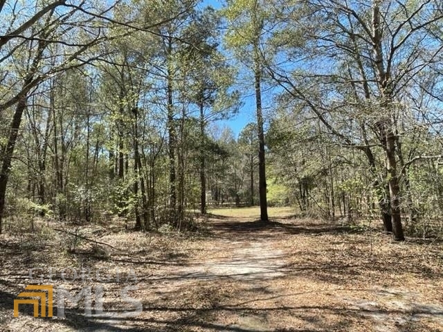 5.2 ACRE, WOODED LOT WITH SECLUSION AND NO COVENANT RESTRICTIONS IN NORTHEAST BULLOCH COUNTY! This parcel is located approximately 2 miles down a dirt road, is approx 300' wide and approx 700' deep and already has electricity, a 911 address, a driveway, a cleared homesite, a concrete slab for an outbuilding or parking AND an existing well and septic tank (no warranties are made regarding functionality of the well and septic as neither have been tested). This is a Fannie Mae Homepath property. PRE 6MMTP HECM - Seller must comply with HUD guidelines 24 CFR 206.125. Call listing agent for more information.