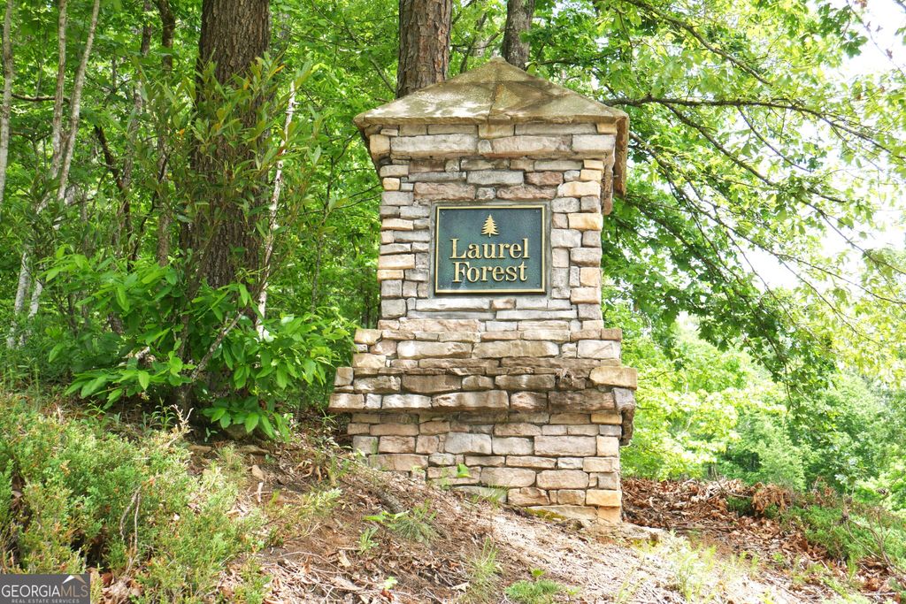 Photo of 24 Lake Laurel Drive, Dahlonega, GA 30533 (MLS # 10761360)