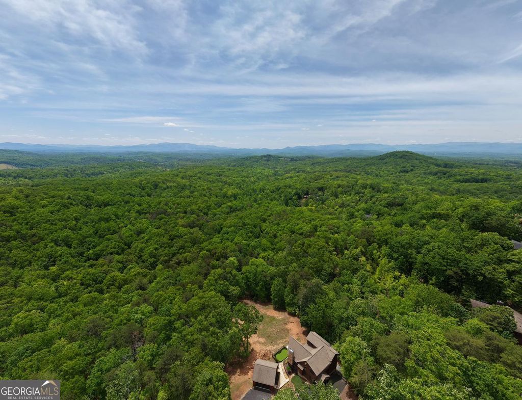 Photo of 5730 Stuart View, Mineral Bluff, GA 30559 (MLS # 10768421)