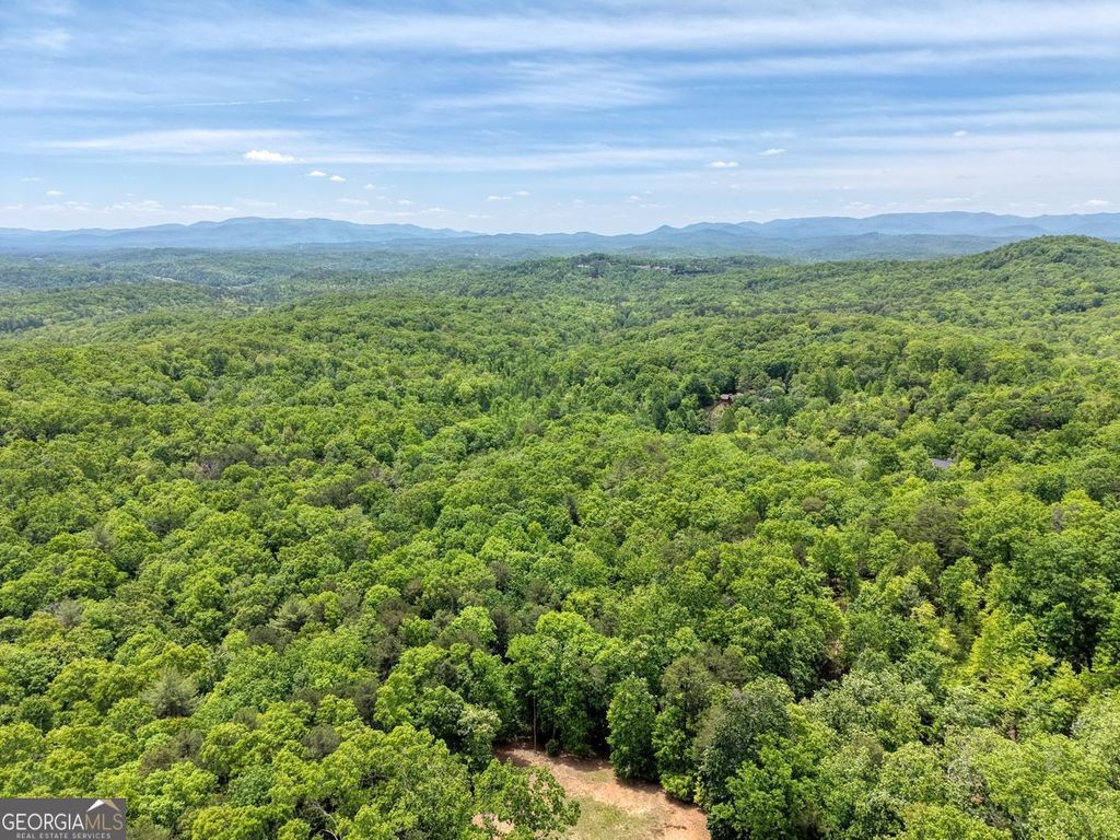 Photo of 5730 Stuart View, Mineral Bluff, GA 30559 (MLS # 10768421)