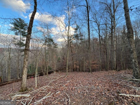 Photo of 403 Crown Court, Ellijay, GA 30540 (MLS # 10821749)