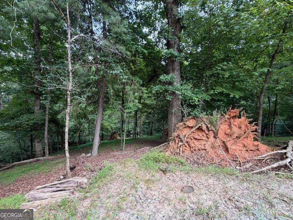 Photo of 403 Crown Court, Ellijay, GA 30540 (MLS # 10821749)