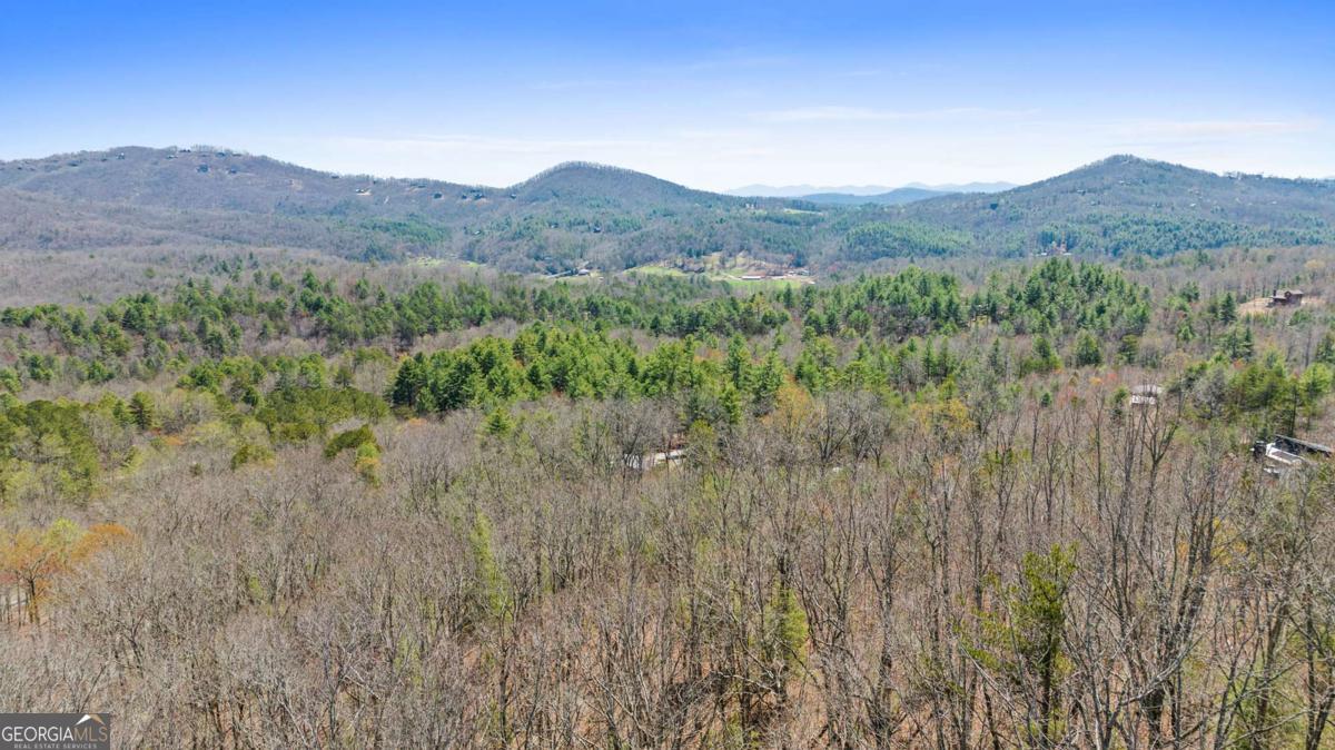 Calling All Builders and Custom Home Dreamers! This stunning 1.56 acre lot, in Hyde Creek Subdivision nestled among beautiful hardwood trees, is ready to be transformed into your perfect home. Strategically located near the end of Synacia Road in Mineral Bluff, it offers both privacy and breathtaking views of the surrounding rolling hills. Included with the lot purchase completed house plans designed to maximize the stunning vistas. Septic permit secured, potable water from an onsite well, electric service in place. Looking for even more space? The adjacent 1.42 acre lot is also available-ideal for a second home or to expand your privacy and panoramic views. Don't miss this rare Opportunity to create your dream retreat!