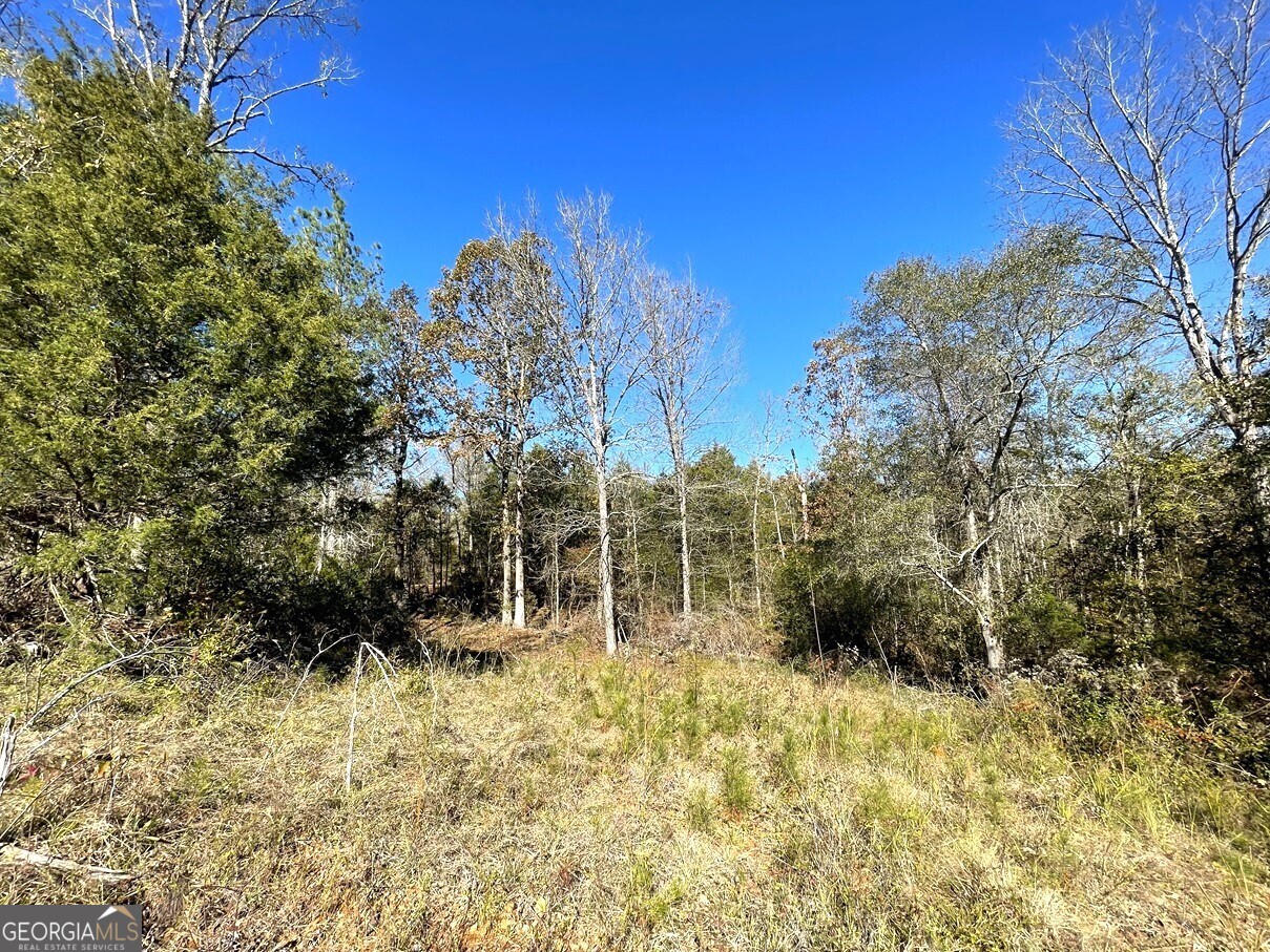 LOT 36 Russell Ridge DR